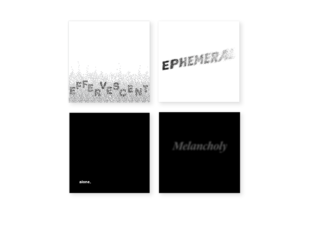 Illustrated Words